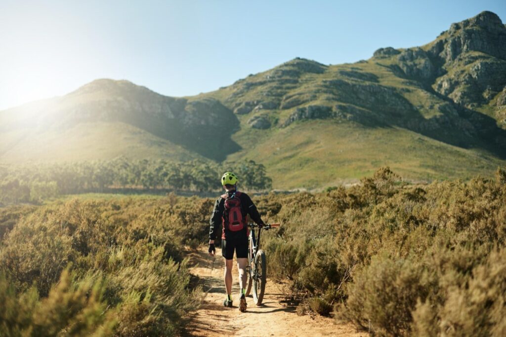 Rowery stają się coraz bardziej popularnym środkiem transportu, a także narzędziem do rekreacji i sportu